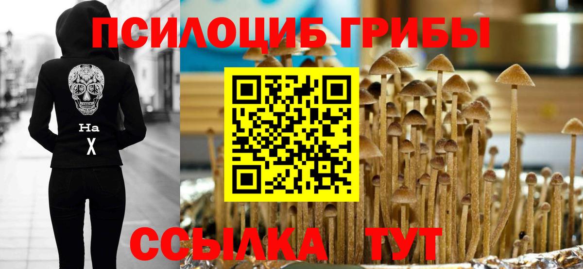 где продают   Псилоцибиновые грибы Psilocybine cubensis  Псилоцибиновые грибы Psilocybine cubensis  Вход с VPN  Зеленогорск 