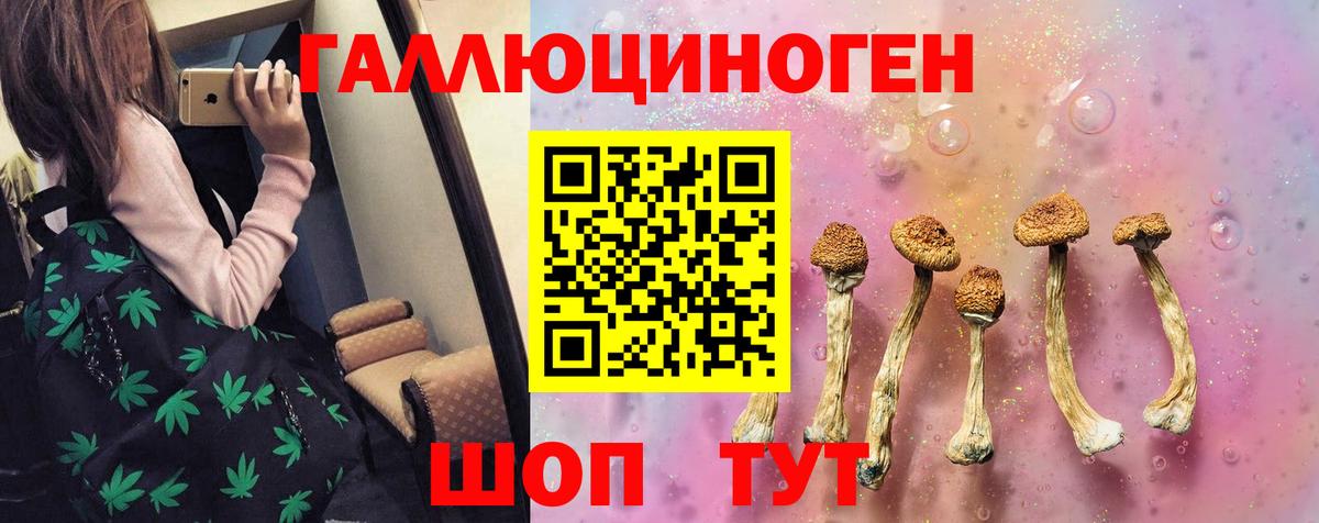 Псилоцибиновые грибы Cubensis Зеленогорск
